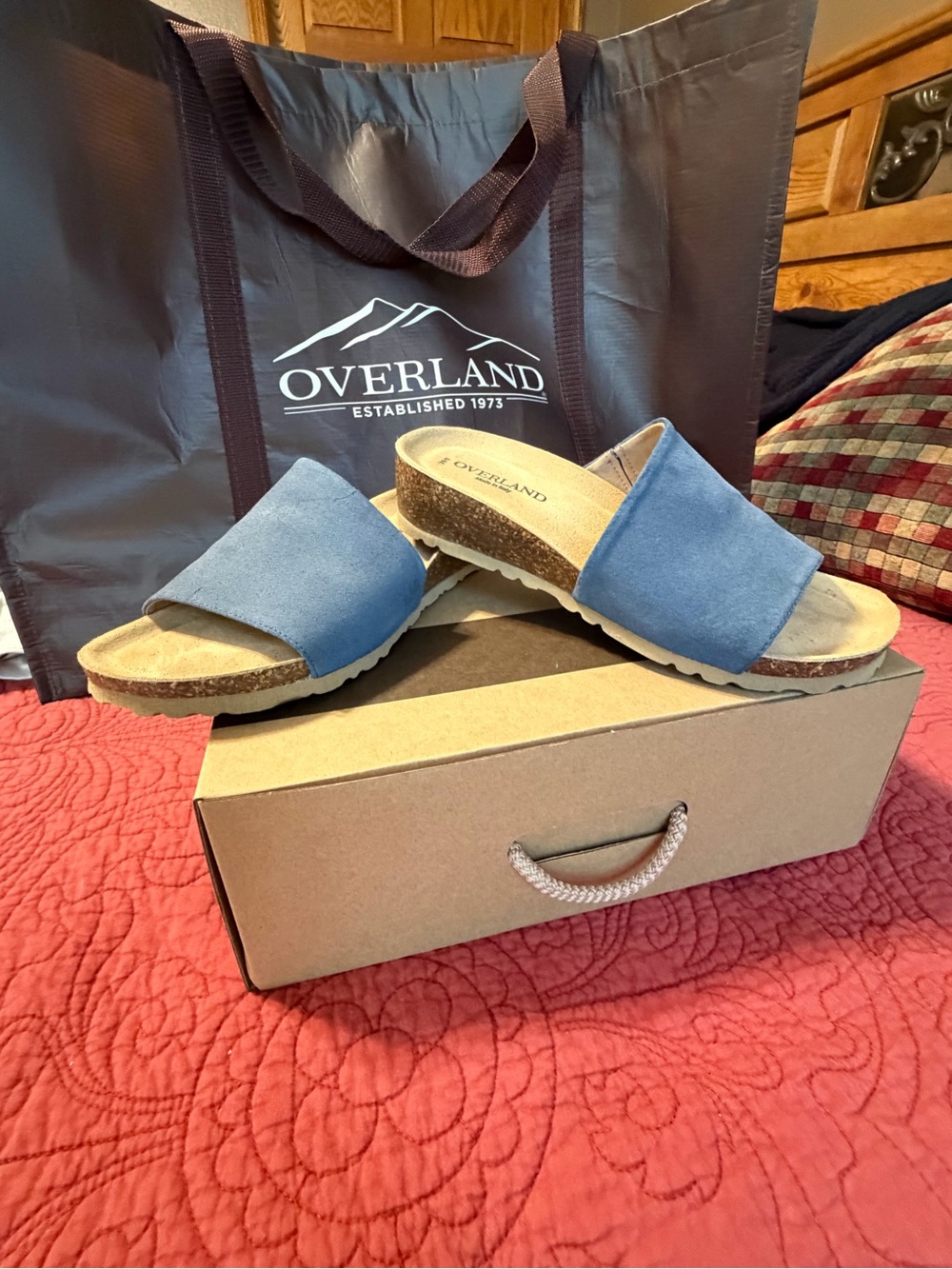 Lainey Suede Slide Sandal in Denim Blue